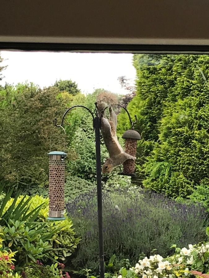 Entire Guest House, In Pewsey Vale, Wiltshire Manningford Abbots Esterno foto